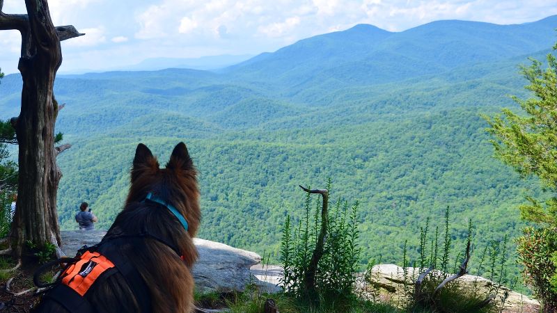 Asheville, North Carolina - trickyexplore.com