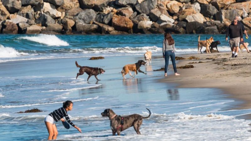 San Diego, California - trickyexplore.com