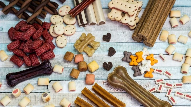 The Best Dog Food 2025 to Try This Year A 2025 Guide - trickyexplore.com