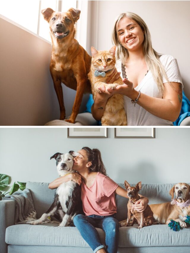 Taking Care of Your Pet