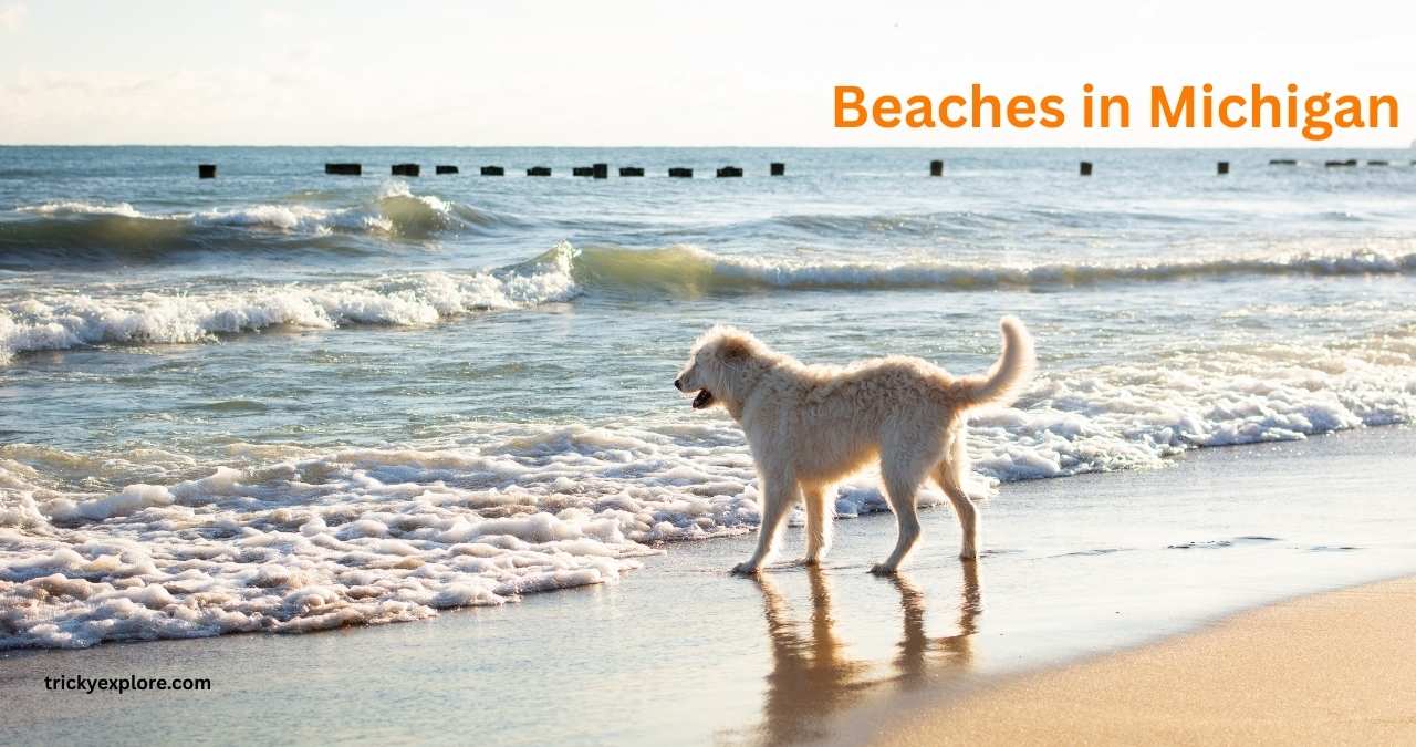 Beaches in Michigan - trickyexplore.com