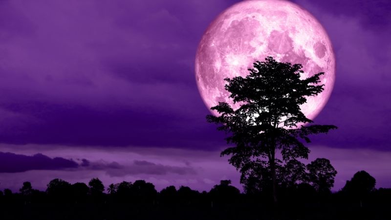How to See the Strawberry Moon in june 2025 - trickyexplore.com