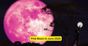 Pink Moon Strawberry Moon - trickyexplore.com